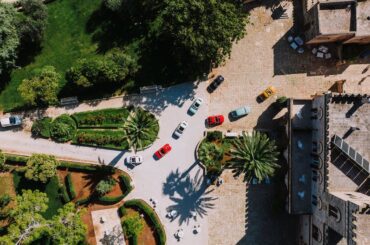 엠자손금의 소개 및 특징