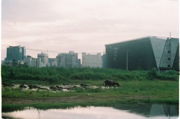 전국 흡연 금연 정책 현황