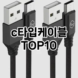 [추천리뷰]c타입케이블 추천 순위  TOP10 구매가이드 후기 가격