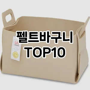펠트바구니 추천 순위  TOP10 구매가이드 2024년 9월 3주차