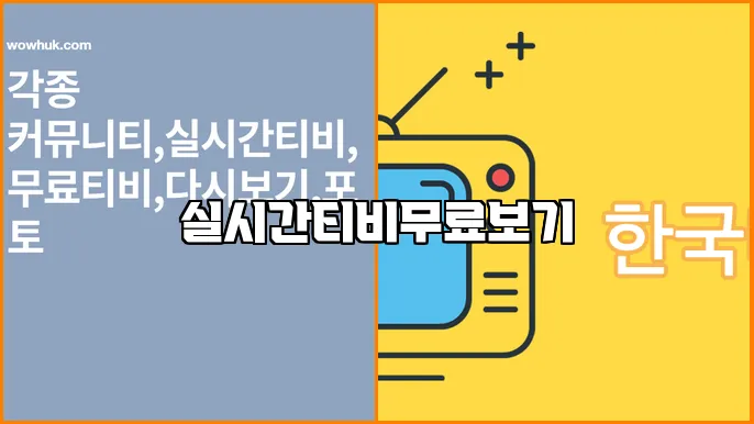 실시간티비무료보기