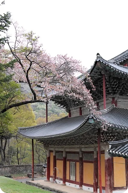 씨유 재고조회 앱 포켓CU 사용법은?