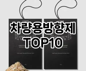 [후기보셈]차량용방향제 추천 순위  TOP10 구매가이드 2025년 4월 1주차