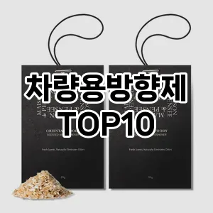 [후기보셈]차량용방향제 추천 순위  TOP10 구매가이드 2025년 4월 1주차
