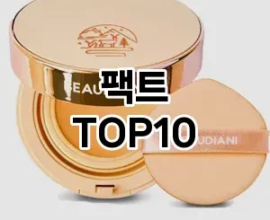 [추천안내]팩트 추천 순위  TOP10 구매가이드 2025년 4월 1주차