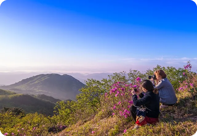 2025년 5월 제주도 날씨 예측과 여행 준비
