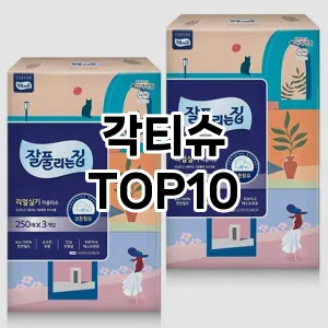 [레알핫템]각티슈 추천 순위  TOP10 구매가이드 2025년 4월 2주차