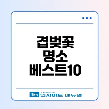 봄의 매력 겹벚꽃 명소 추천
