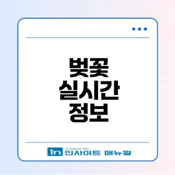 2025 경주 벚꽃 실시간 정보와 팁