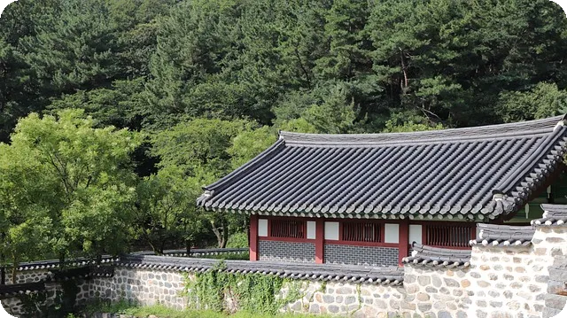 군산 한옥 카페에서의 특별한 쑥 음료 체험
