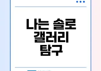나는 솔로 갤러리의 비밀은 무엇인가
