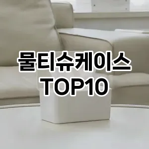 [베스트템]물티슈케이스 추천 순위  TOP10 구매가이드 2025년 4월 3주차