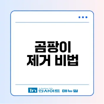 벽지 곰팡이 제거법으로 쾌적한 집 만들기
