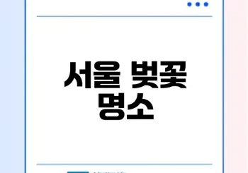 서울에서 즐기는 벚꽃 명소 7곳