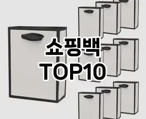 [솔직후기]쇼핑백 추천 순위  TOP10 구매가이드 2025년 4월 2주차