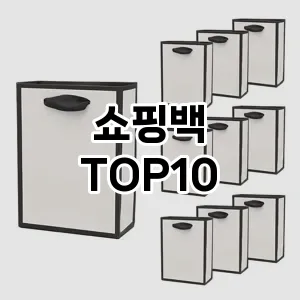 [솔직후기]쇼핑백 추천 순위  TOP10 구매가이드 2025년 4월 2주차