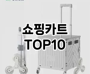 [할인추천]쇼핑카트 추천 순위  TOP10 구매가이드 2025년 4월 2주차