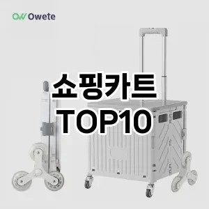 [할인추천]쇼핑카트 추천 순위  TOP10 구매가이드 2025년 4월 2주차
