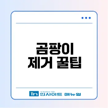 벽에 곰팡이 제거와 예방 방법은