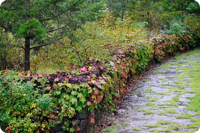 경주 황리단길 고기집 큰기와 경험해보셨나요