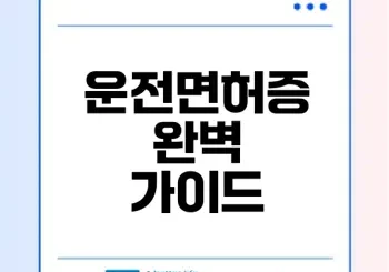 운전면허증의 모든 것과 중요성
