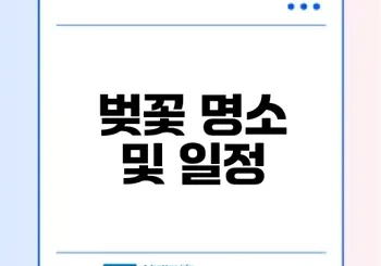 2025 벚꽃 개화시기 및 부산 명소는?