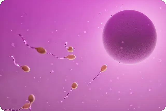 정액 이해하기 생리와 과정은 무엇인가