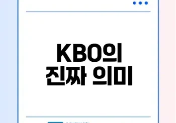KBO 약자 무엇일까 그 의미와 역할