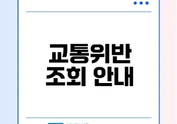 교통위반 조회와 과태료 납부 방법은?