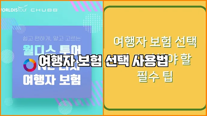 여행자 보험 선택 사용법