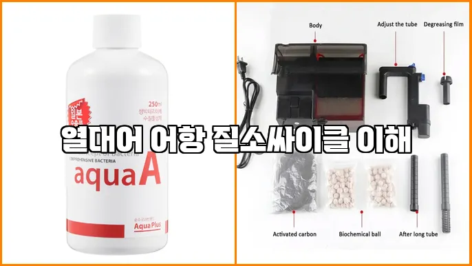 열대어 어항 질소싸이클 이해