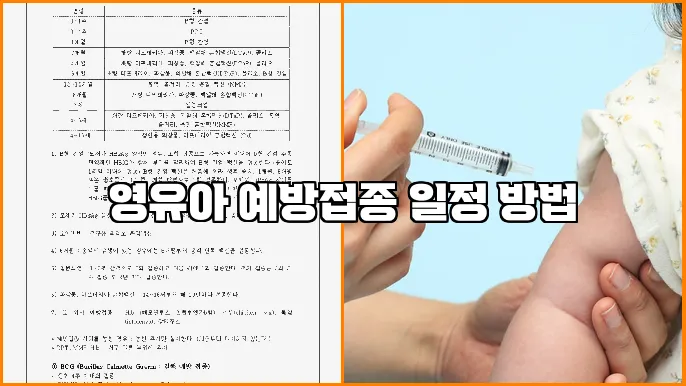 영유아 예방접종 일정 방법