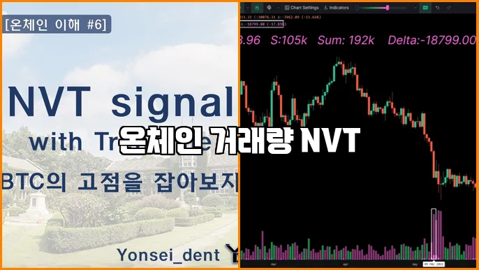 온체인 거래량 NVT