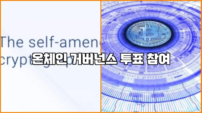 온체인 거버넌스 투표 참여