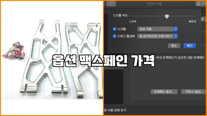 옵션 맥스페인 가격