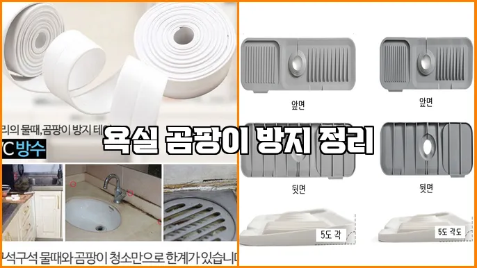 욕실 곰팡이 방지 정리
