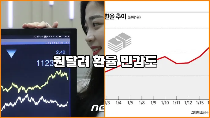 원달러 환율 민감도