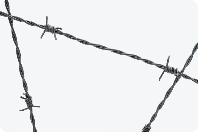 2025 연말정산 환급금 지급일 3월18일 확정 이유는?