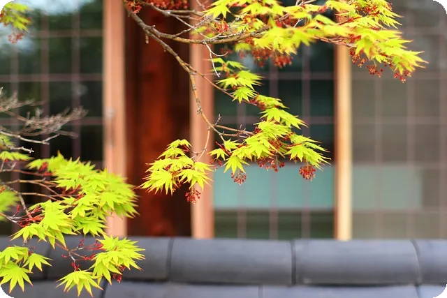 NFC의 모든 것 활용과 사용법은?