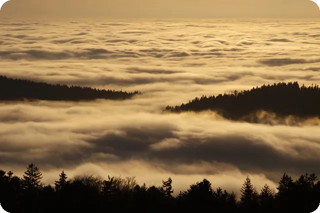고령자 고용촉진 장려금 지원조건과 신청법은