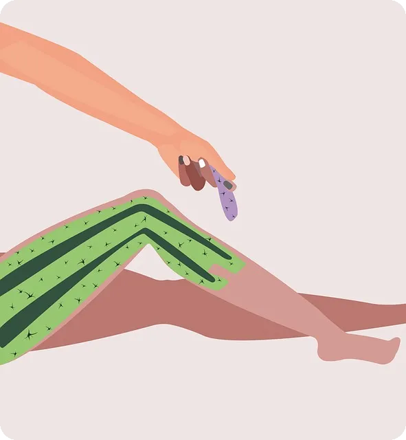 고령자 고용촉진 장려금 지원조건과 신청법은