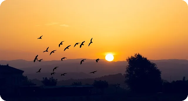 구직촉진수당 받으면서 알바 가능할까 조건 총정리