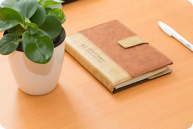 다이소 물건찾기 사이트 활용 방법은?