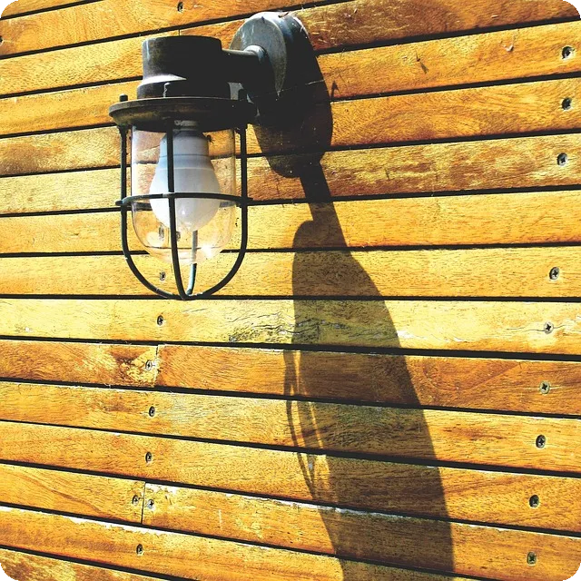 무신사 멤버십의 모든 것은?