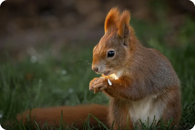 부산청년월세지원사업 신청법과 꿀팁
