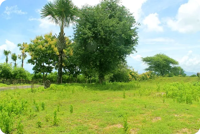 쿠팡 아르바이트 세후금액 계산법은?