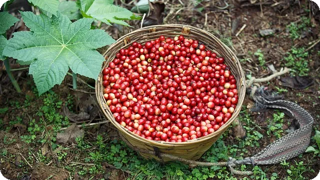 아파트 매매 시 중개수수료 계산하는 법은