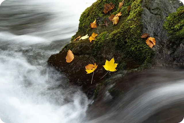 일본 취업 왜 인기일까 현실 장단점 분석