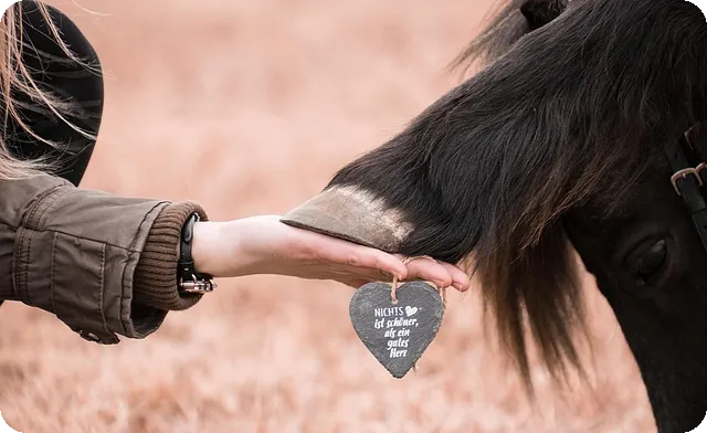 정부24 통신판매업 신고 쉽게 끝내는 방법은