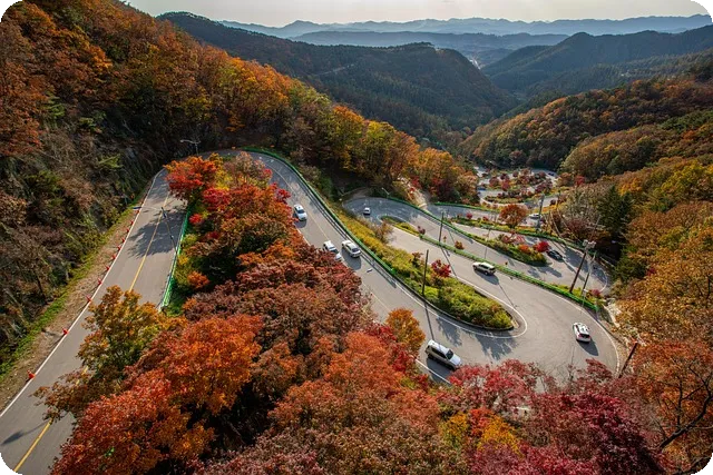 주정차단속 걱정 끝 주정차알림서비스와 휘슬 완전 비교